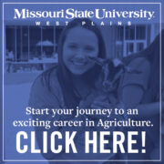 MSU WP Web Ad